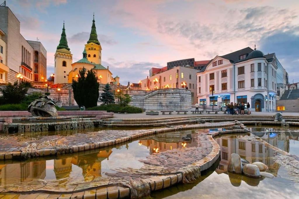 Lovely Apartment - Zilina Centrum Экстерьер фото